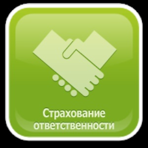 Страхование ответственности в России: современное состояние и направления развития